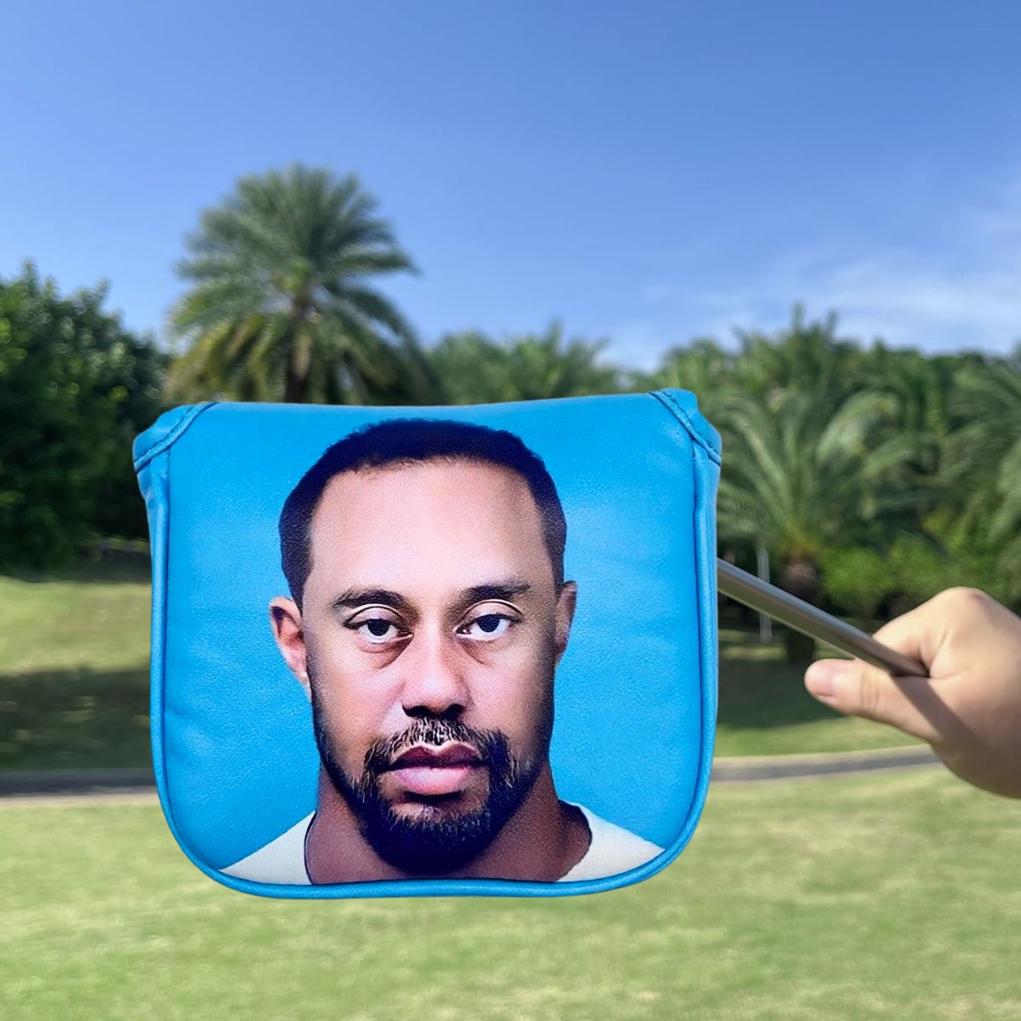 ปลอกหุ้มหัวไม้กอล์ฟลายตลก ของข - Golf Putter บทวิจารณ์และราคา